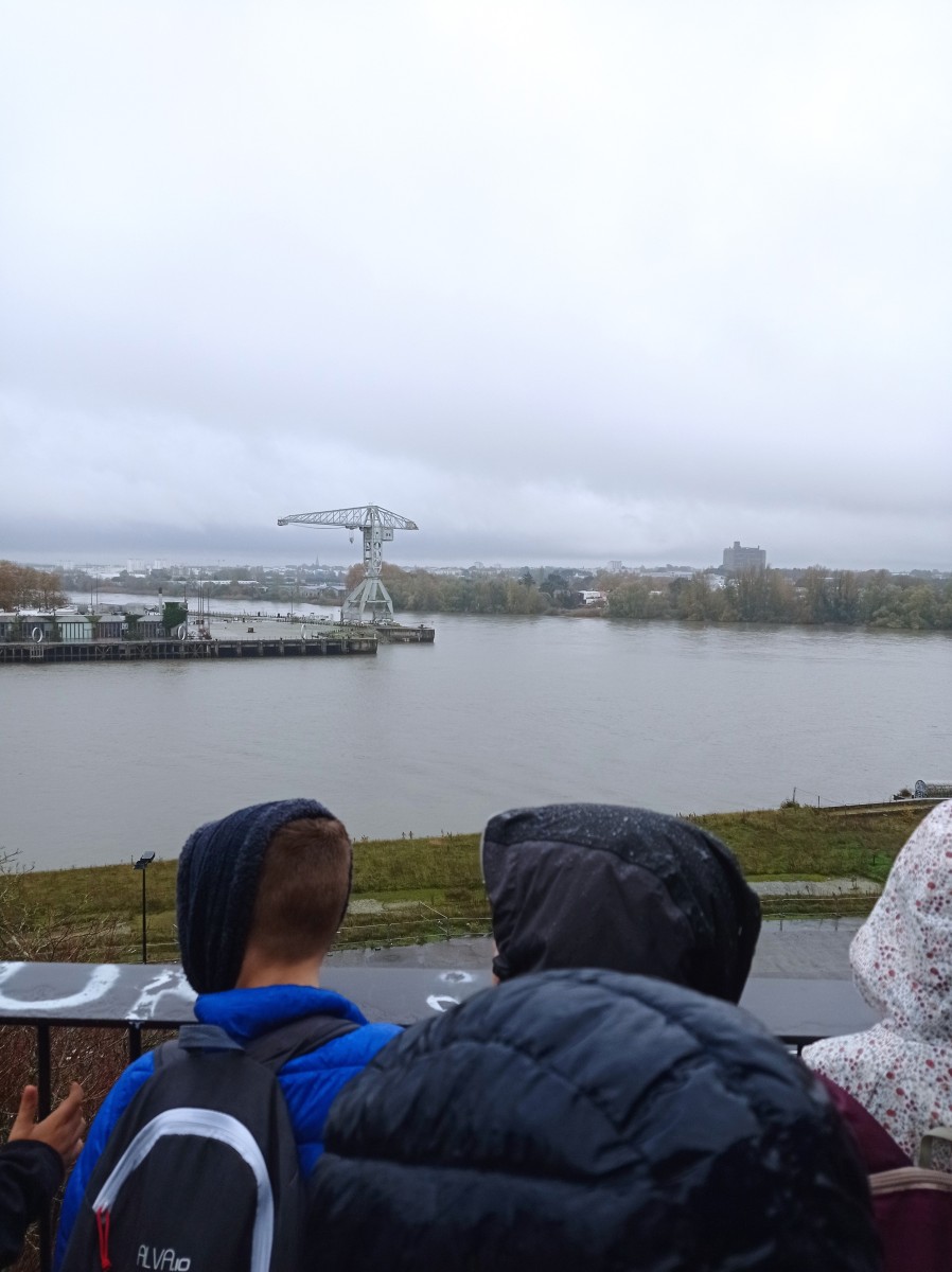 IMG_20251110_102905
