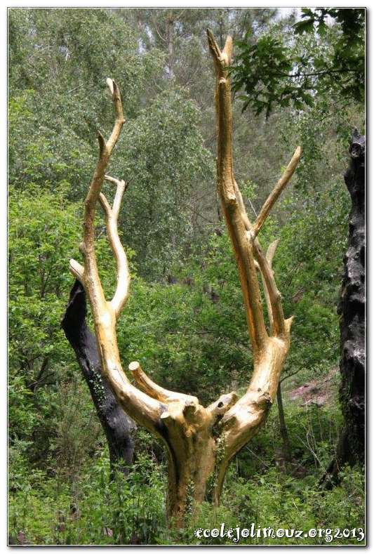 Broceliande2013_0011
