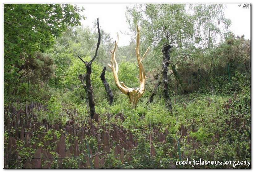 Broceliande2013_0012
