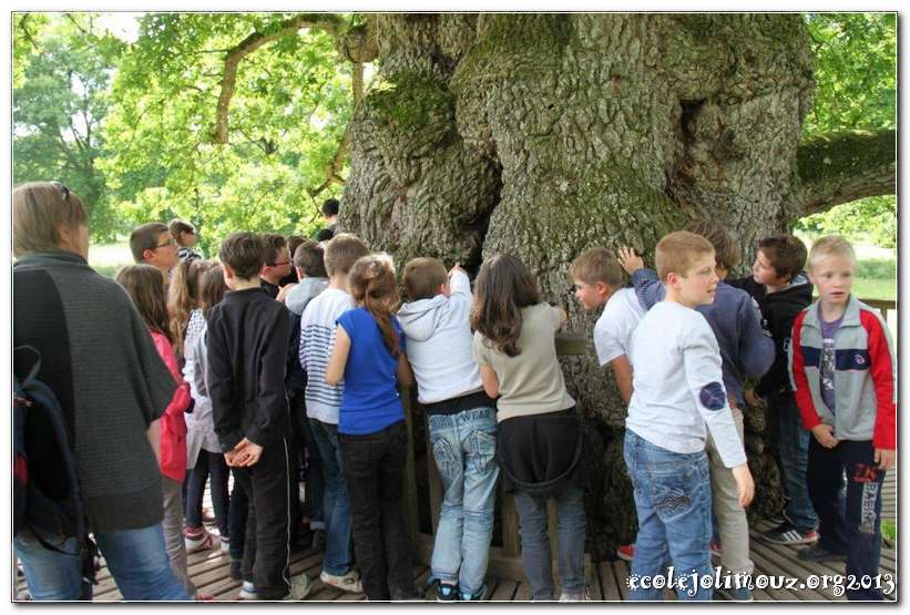 Broceliande2013_0019