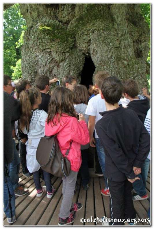 Broceliande2013_0020