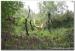 Broceliande2013_0012