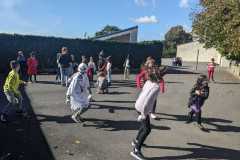 IMG-20250206-WA0050