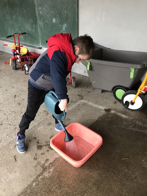 Image-8