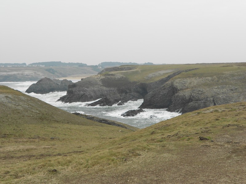 Image00026.jpg