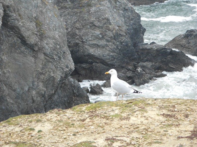 Image00036.jpg