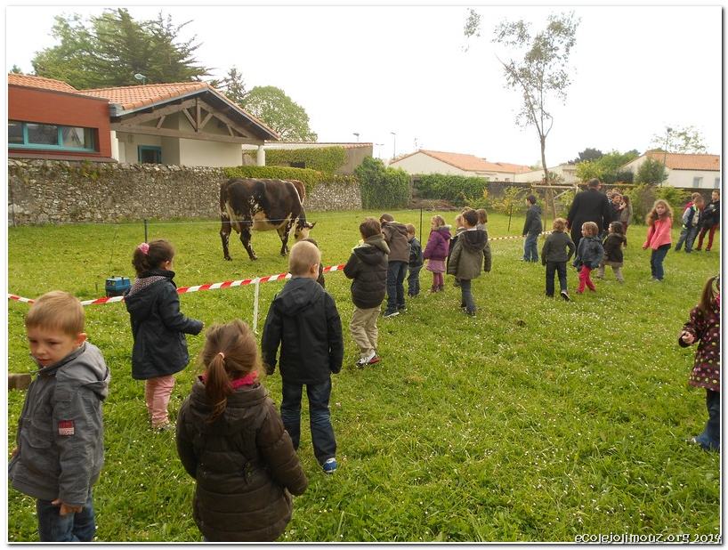 Carabistouille201405-014