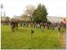 Carabistouille201405-015