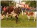Carabistouille201405-017