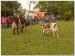 Carabistouille201405-018
