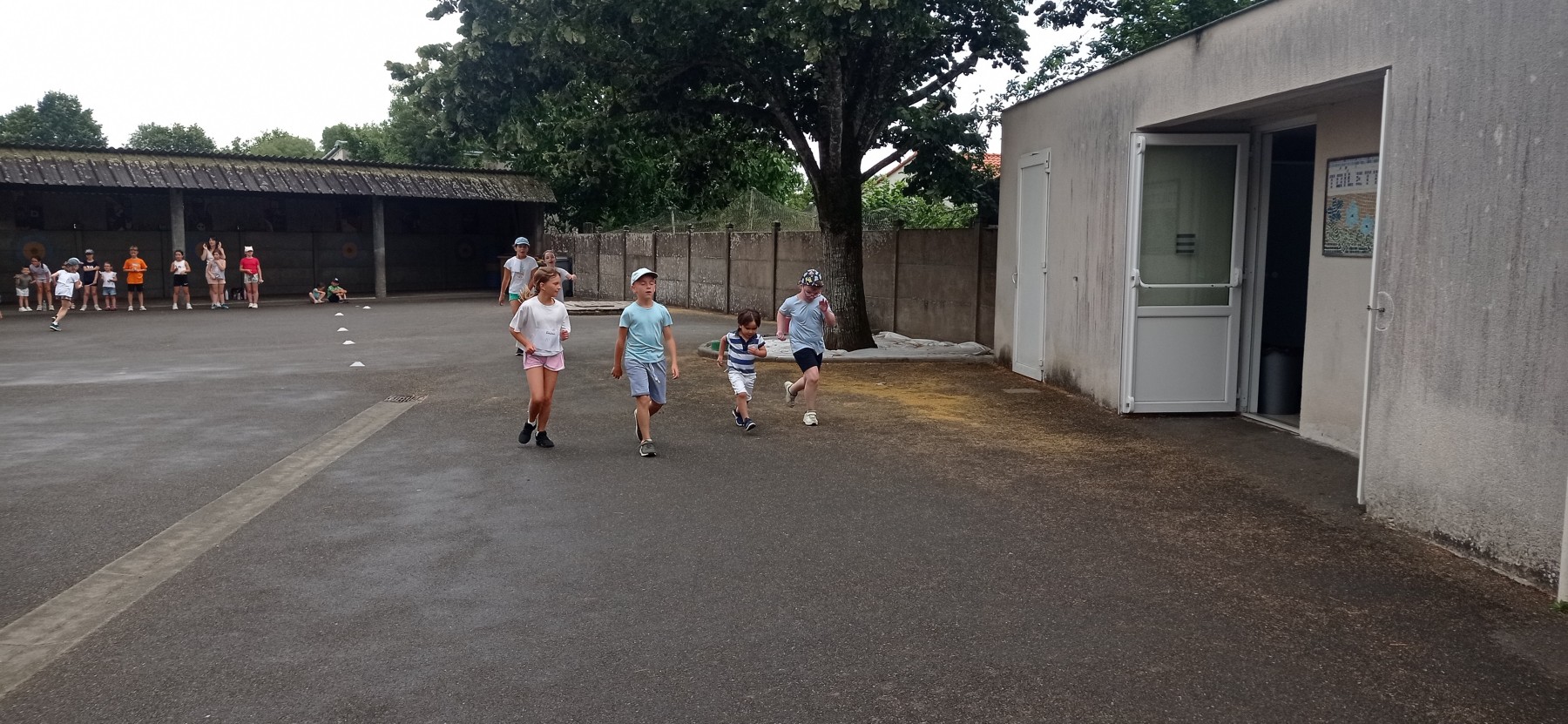 IMG_20260618_094612