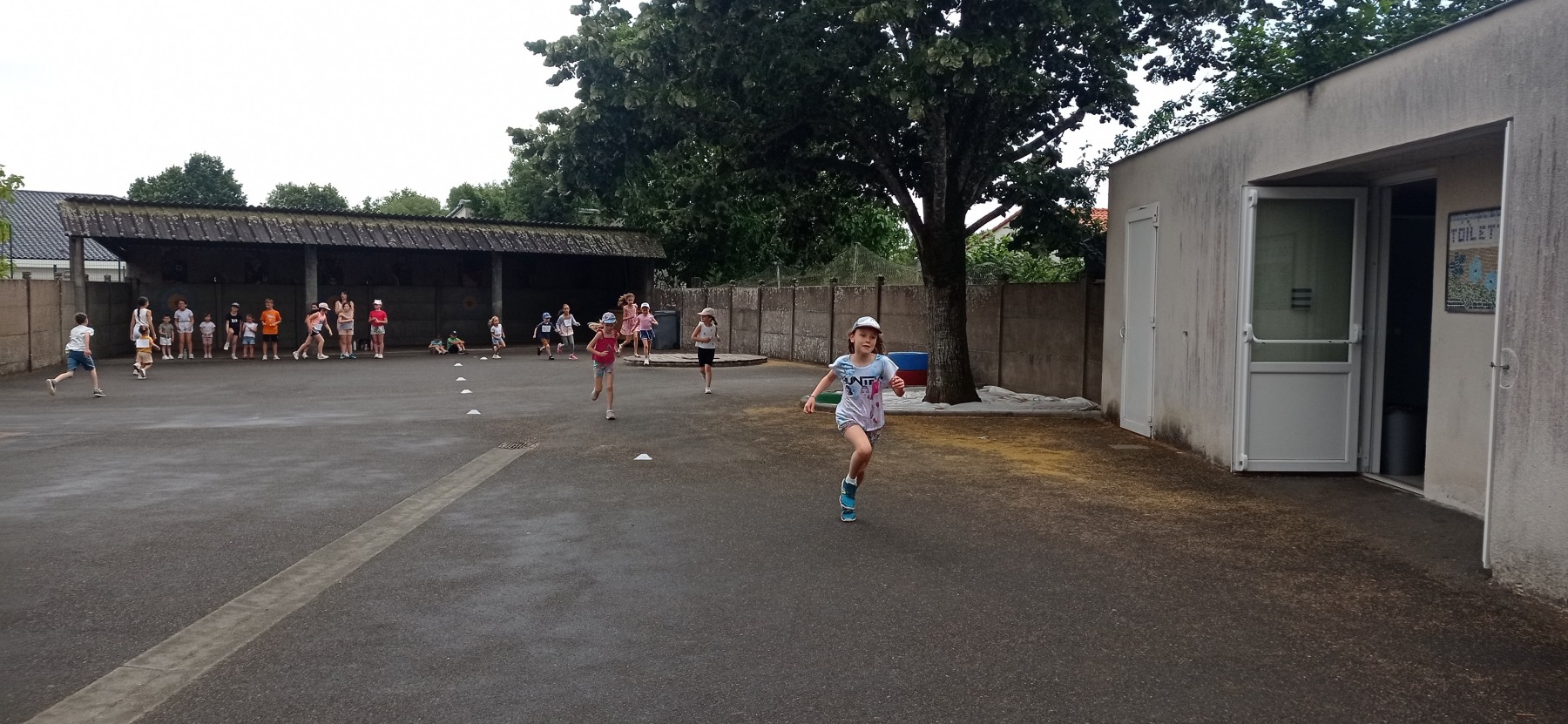 IMG_20260618_094621