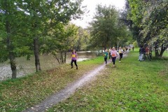IMG_20241008_114133