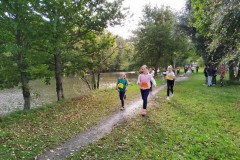 IMG_20241008_114134