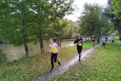 IMG_20241008_114146
