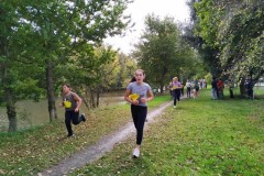 IMG_20241008_114212