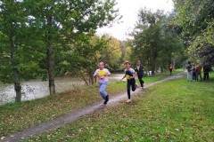 IMG_20241008_114254