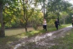 IMG_20241008_114357