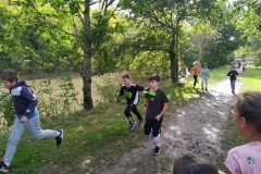 IMG_20241008_115730