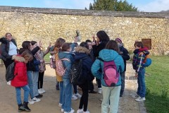 IMG_20250317_105431