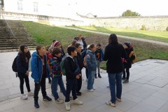 IMG_20250317_110118