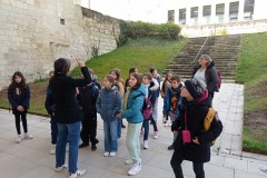 IMG_20250317_110128