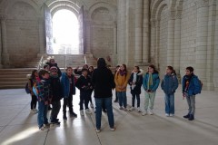 IMG_20250317_110355