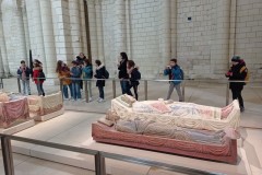 IMG_20250317_111248
