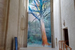 IMG_20250317_111528
