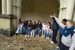 IMG_20250317_114103