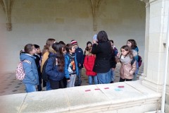 IMG_20250317_114553