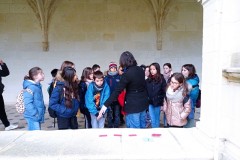 IMG_20250317_114600