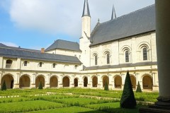 IMG_20250317_115428