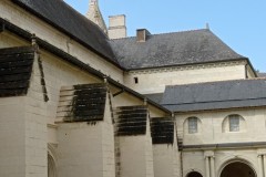 IMG_20250317_115459