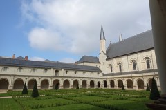 IMG_20250317_115515