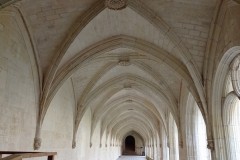 IMG_20250317_115546