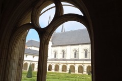 IMG_20250317_115601