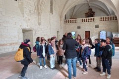 IMG_20250317_115649