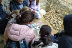 IMG_20250317_120759
