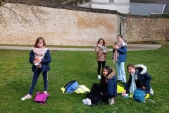 IMG_20250317_123300