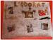 FeteProjet201407-010