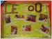 FeteProjet201407-011