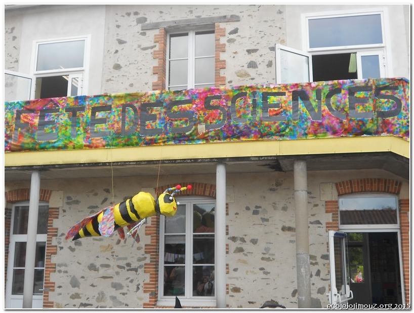 FeteProjet201507-010