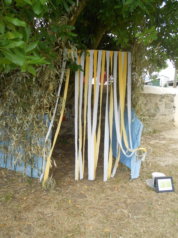 DSCN8709
