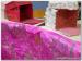 FeteProjet2013_0027
