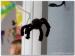 FeteProjet2013_0095
