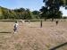 IMG-20220922-WA0000
