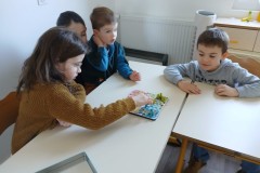 IMG-20250205-WA00041