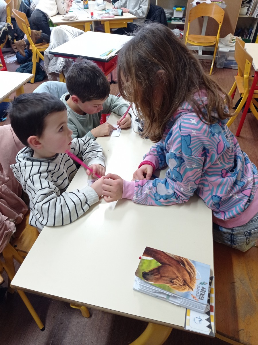 IMG_20260126_155107