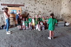 IMG_20250627_135135